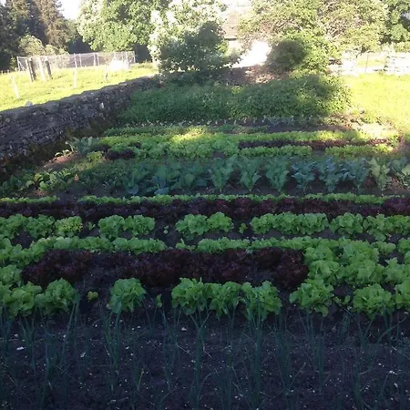 Bois-raiguel Chasseral Hotel Corgemont