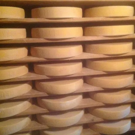 Hotel Bois-raiguel Chasseral *