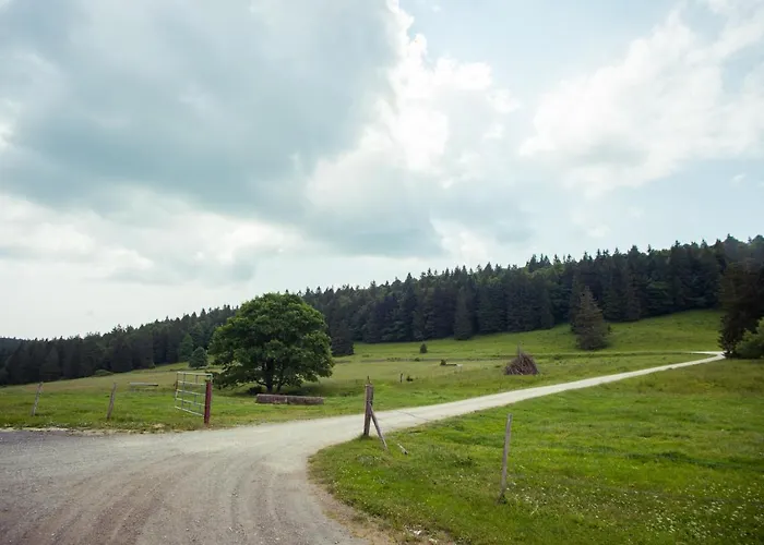 Bois-raiguel Chasseral * Corgemont